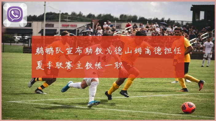 鹈鹕队宣布助教戈德山姆高德担任夏季联赛主教练一职